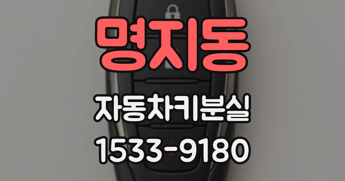명지동 자동차키분실