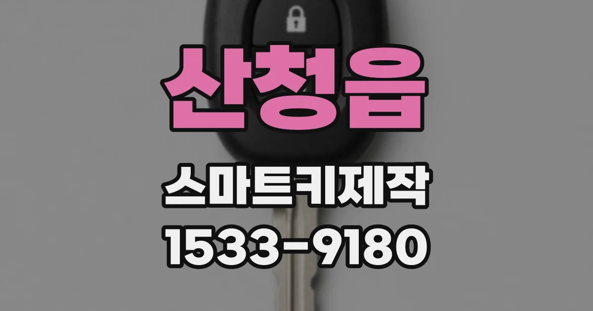 산청읍 스마트키제작