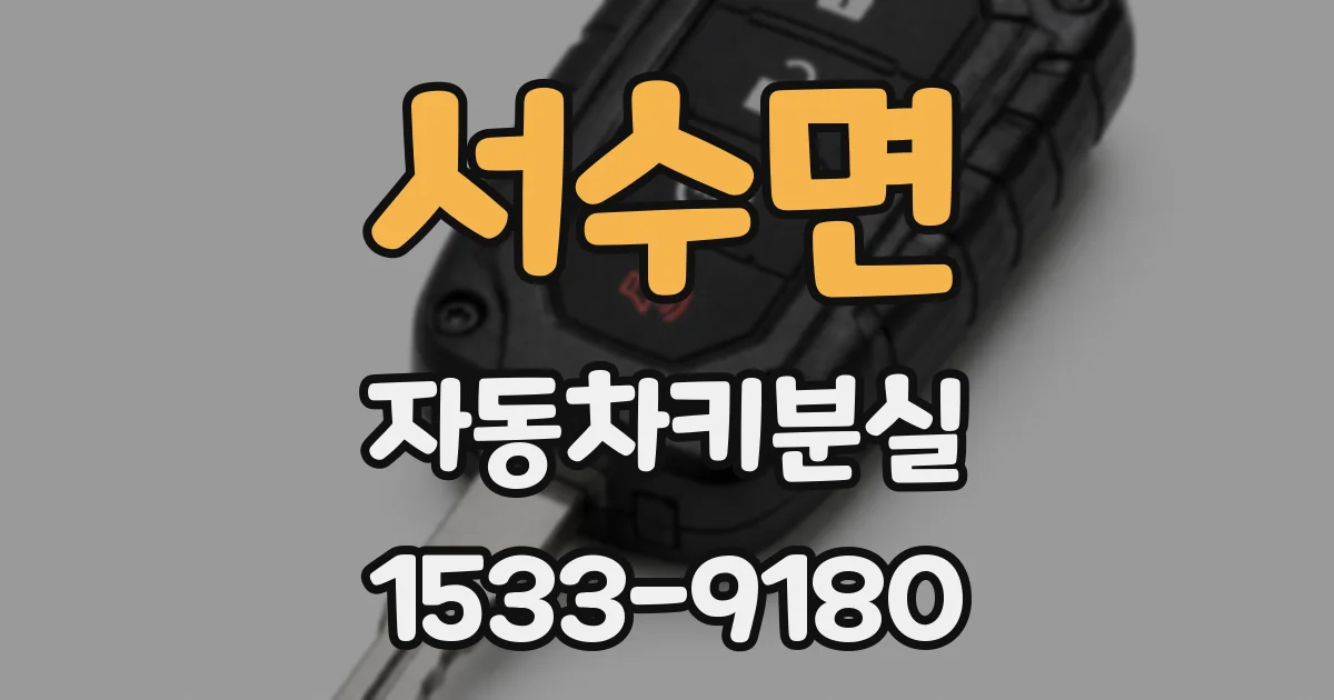 서수면 자동차키분실