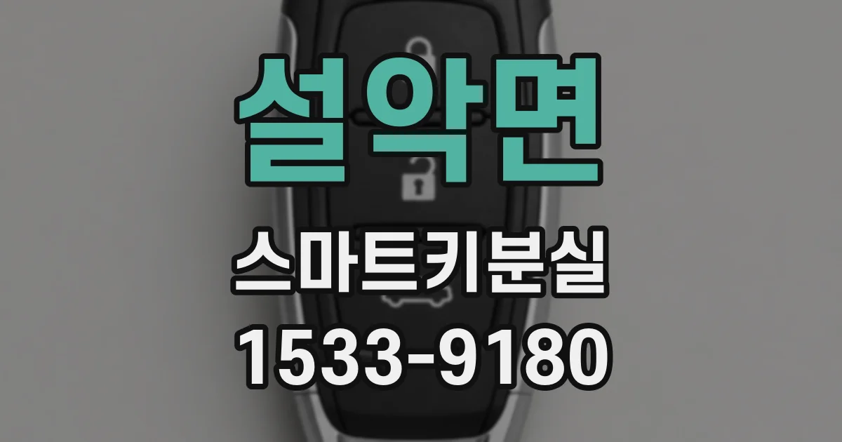 설악면 스마트키분실