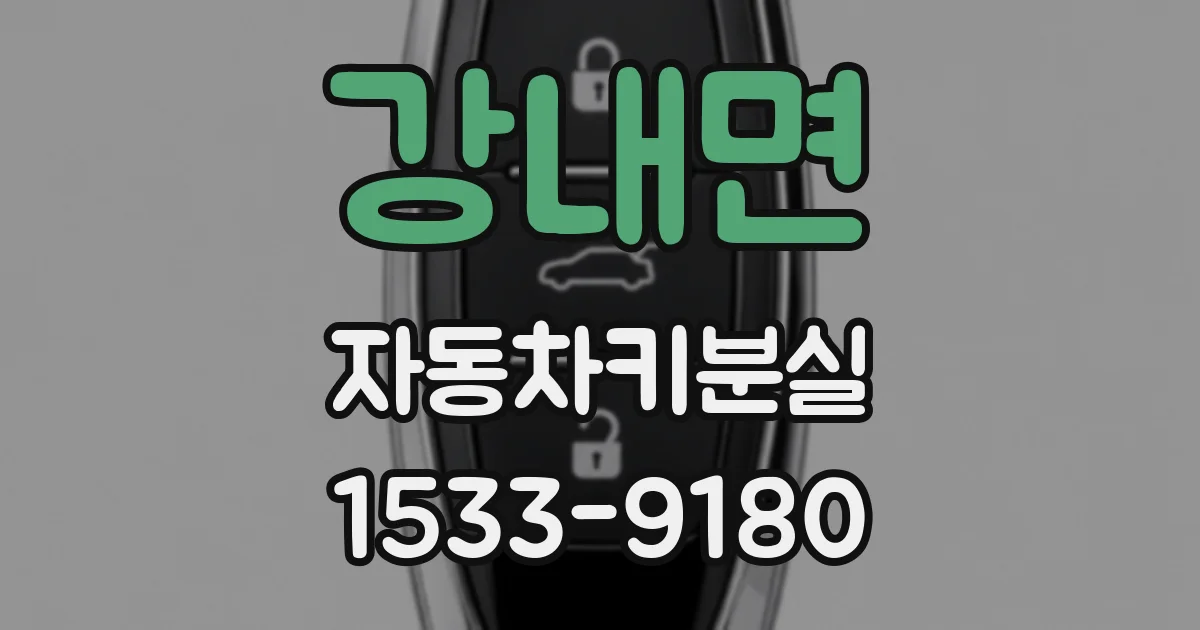 강내면 자동차키분실