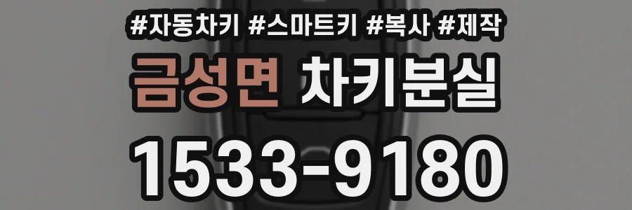 금성면 차키분실