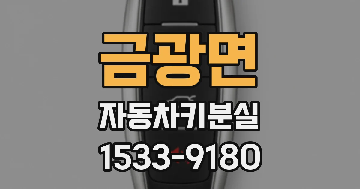 금광면 자동차키분실
