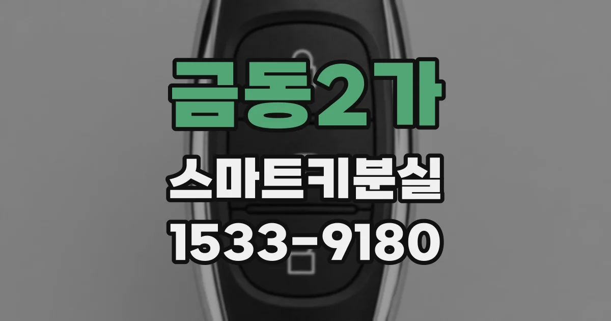 금동2가 스마트키분실