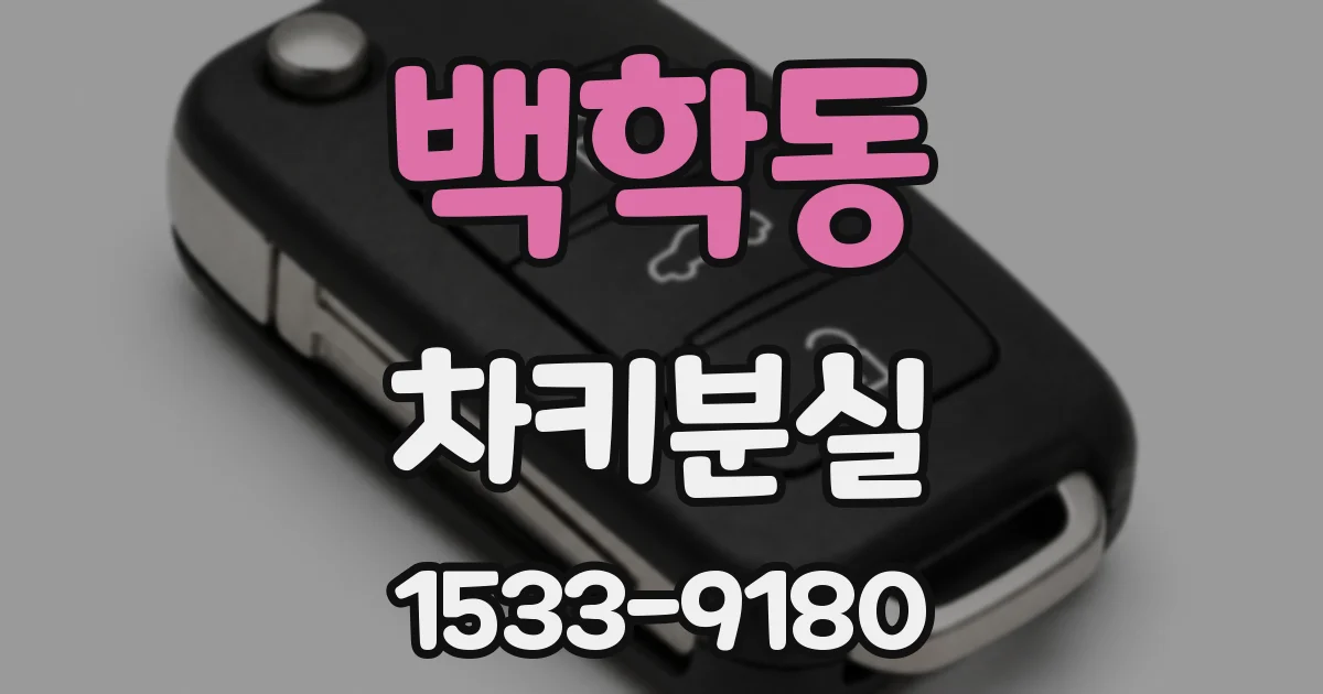 백학동 차키분실