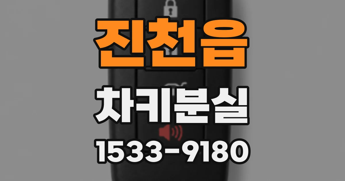 진천읍 차키분실