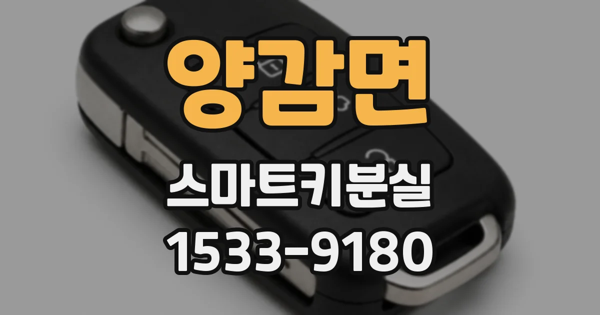 양감면 스마트키분실