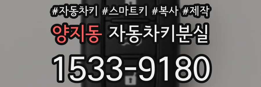 양지동 자동차키분실