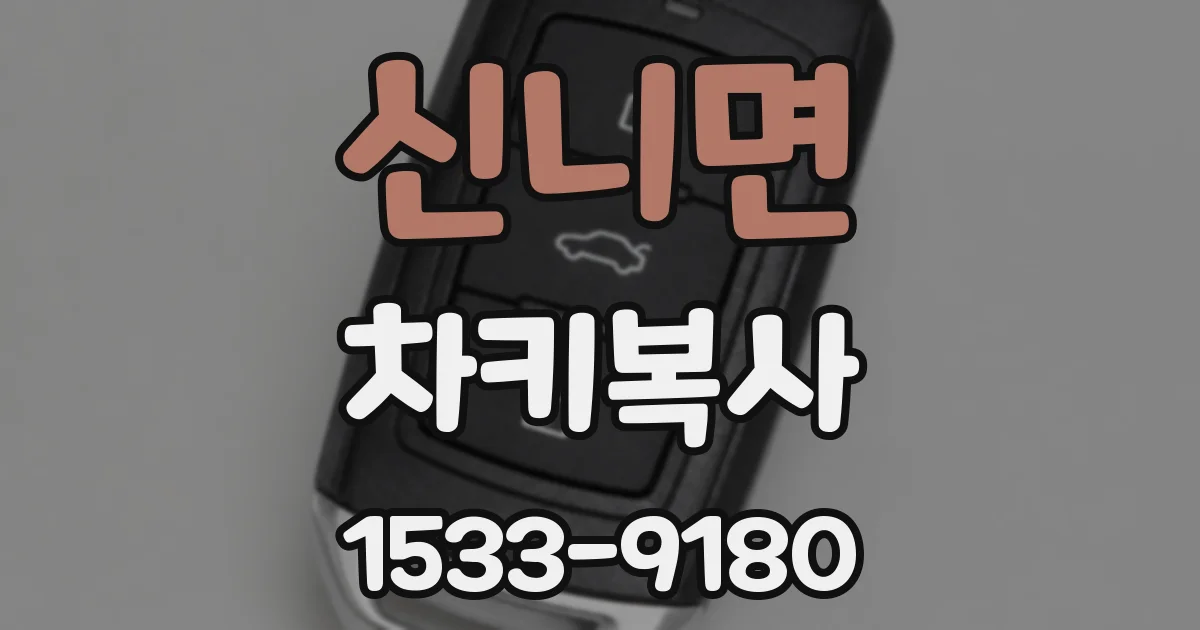 신니면 차키복사