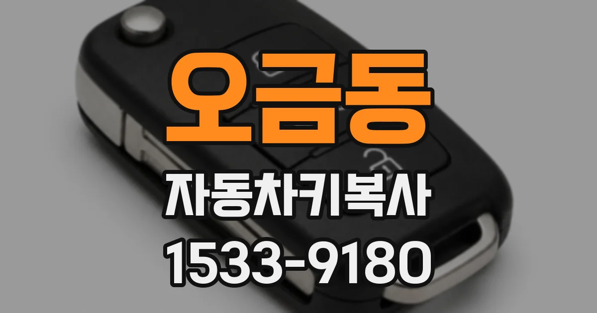 오금동 자동차키복사