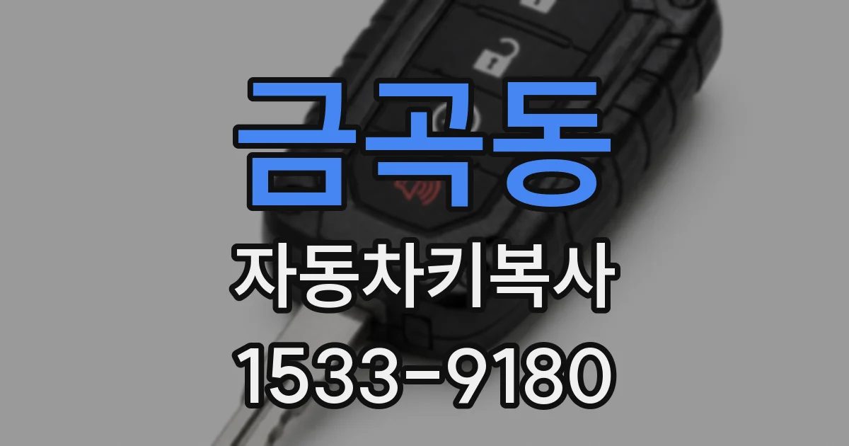 금곡동 자동차키복사