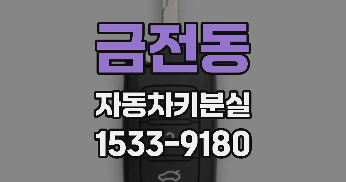 금전동 자동차키분실