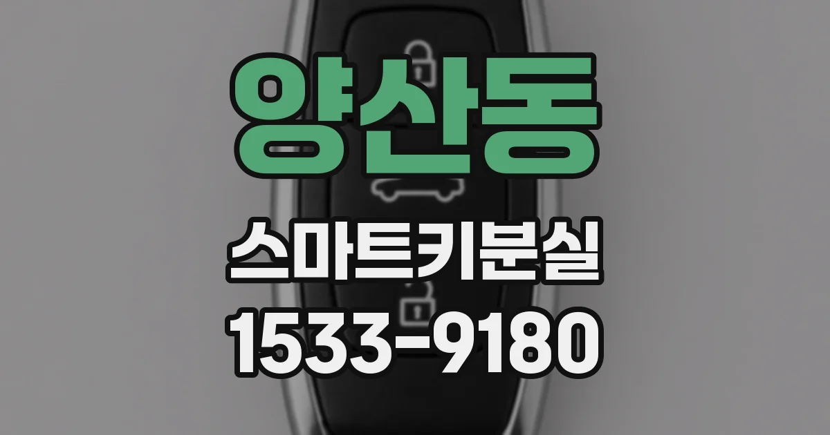 양산동 스마트키분실