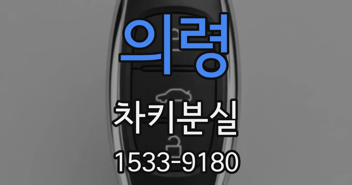 의령 차키분실