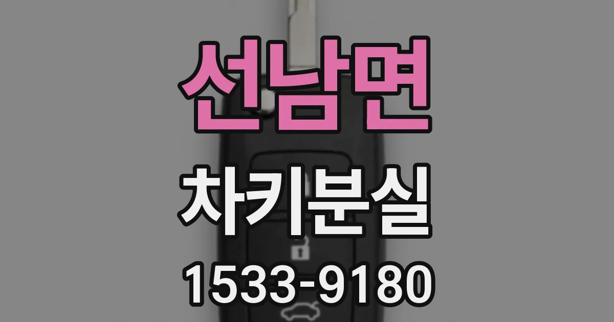 선남면 차키분실
