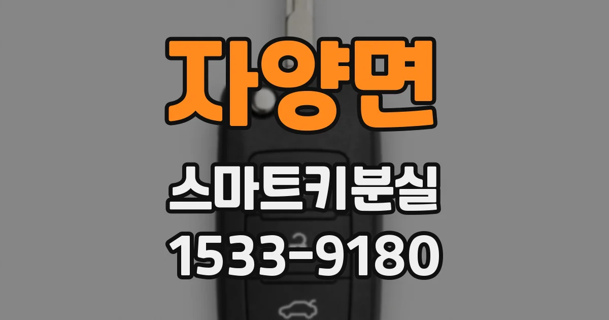 자양면 스마트키분실