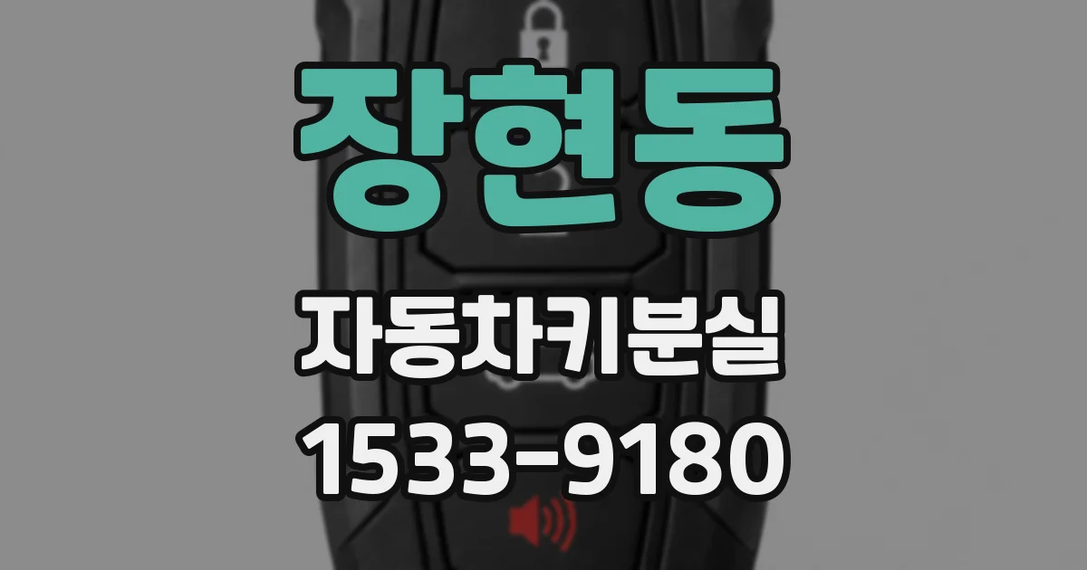 장현동 자동차키분실