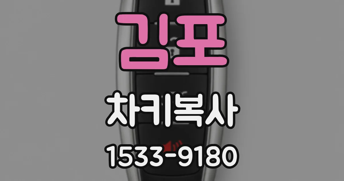 김포 차키복사