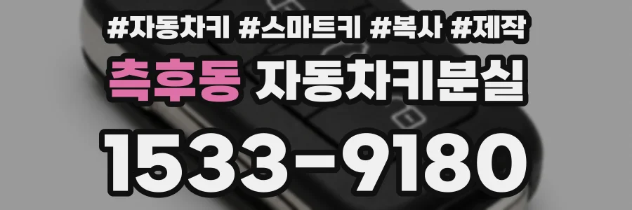 측후동 자동차키분실