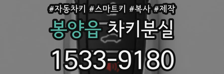 봉양읍 차키분실