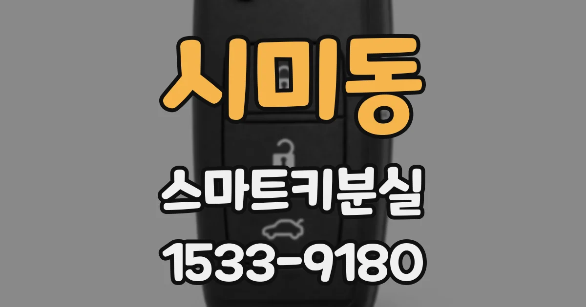시미동 스마트키분실