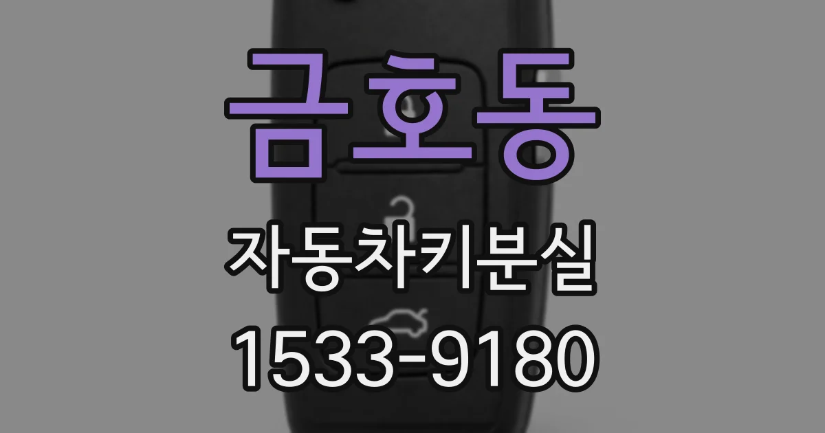 금호동 자동차키분실