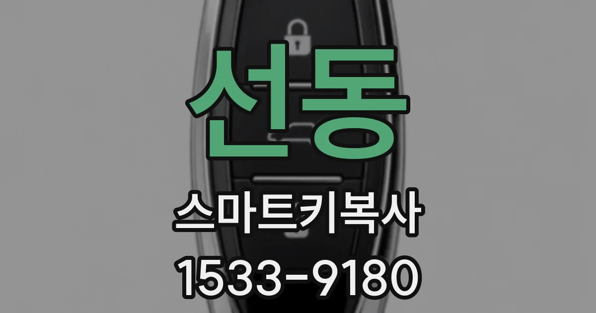 선동 스마트키복사