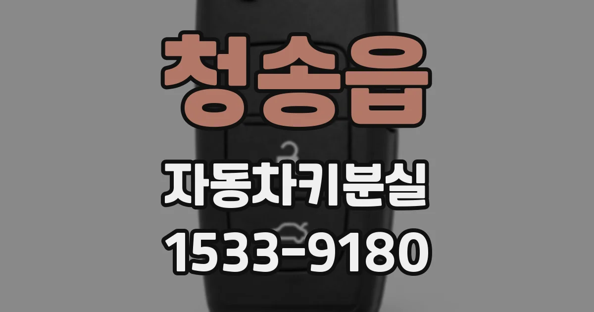 청송읍 자동차키분실