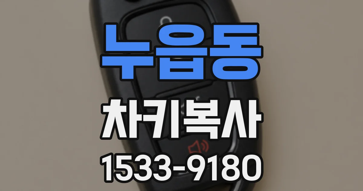 누읍동 차키복사