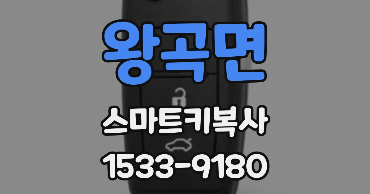 왕곡면 스마트키복사
