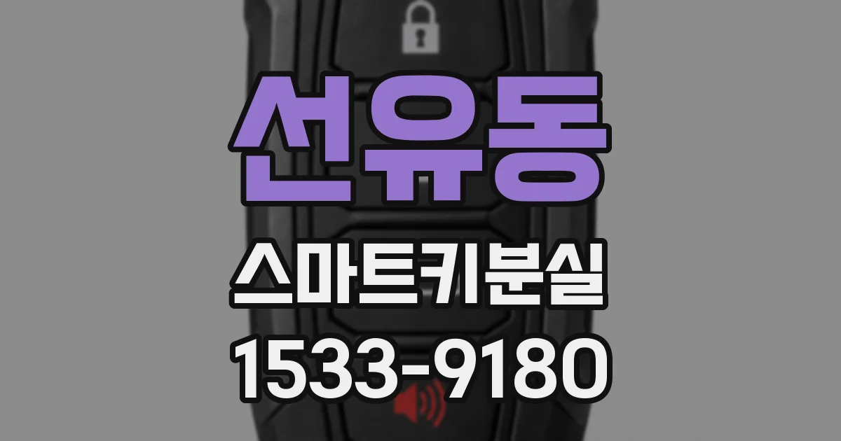 선유동 스마트키분실