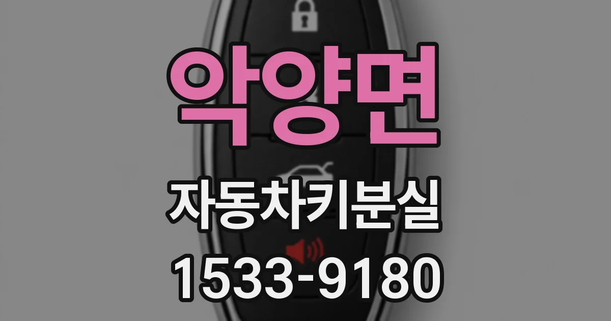 악양면 자동차키분실