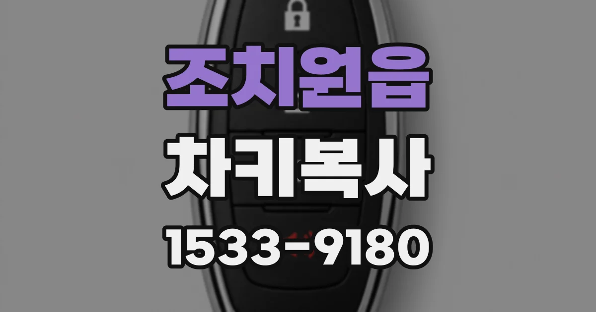 조치원읍 차키복사