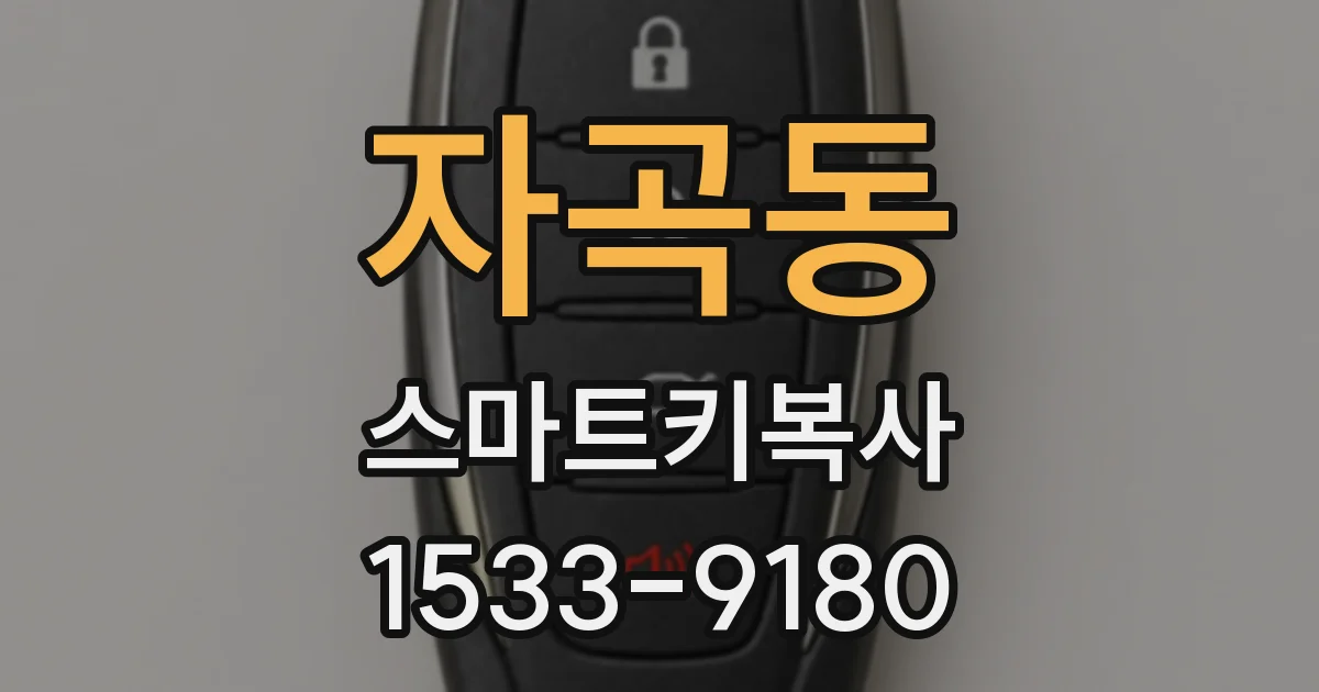자곡동 스마트키복사