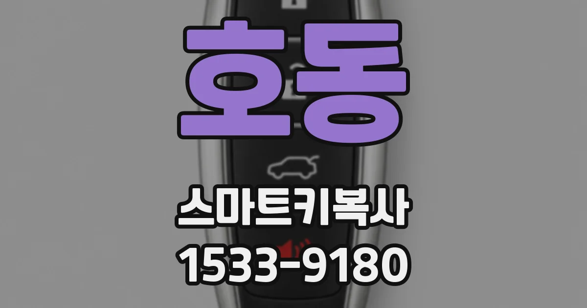 호동 스마트키복사