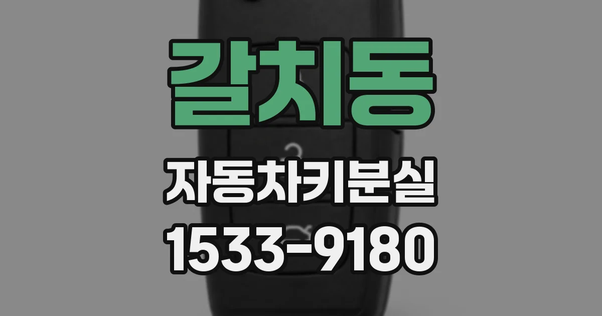갈치동 자동차키분실
