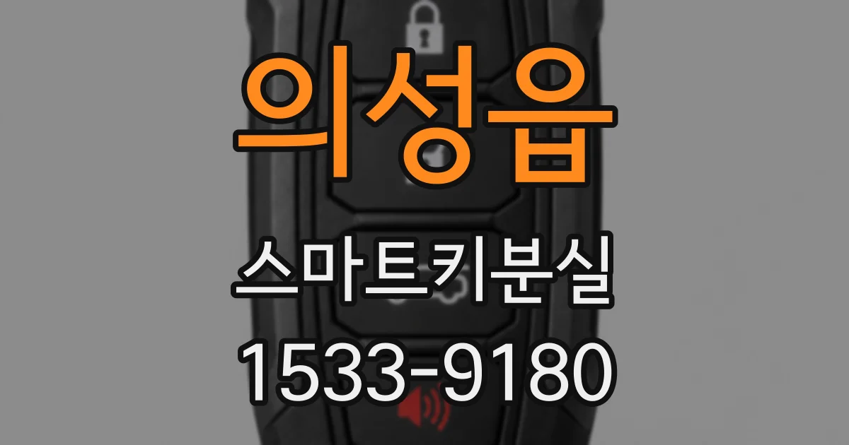 의성읍 스마트키분실