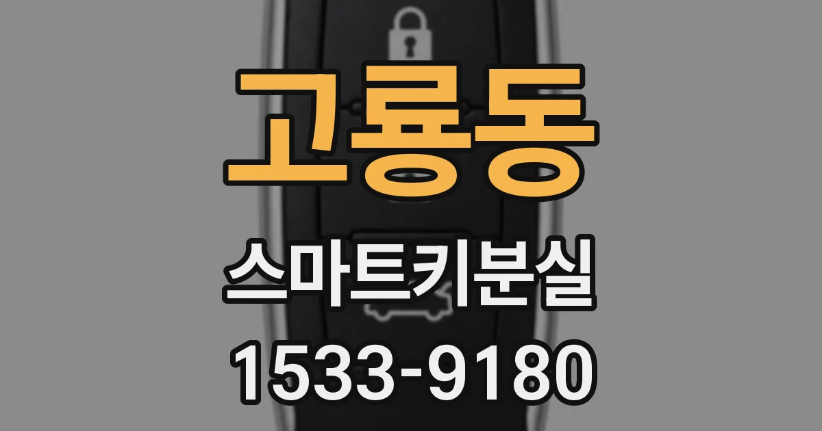 고룡동 스마트키분실