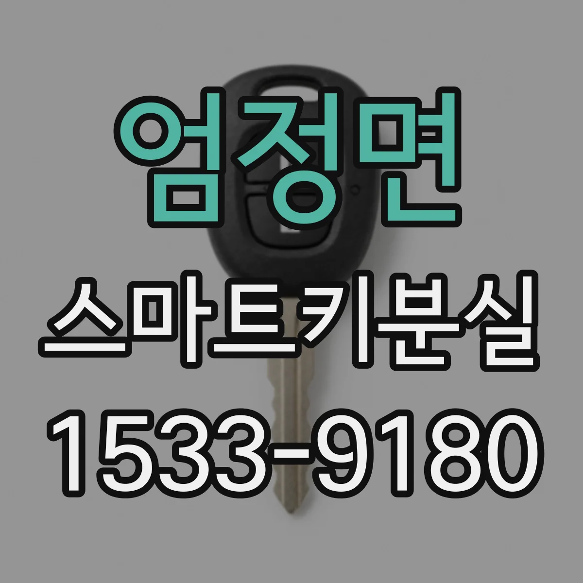 엄정면 스마트키분실
