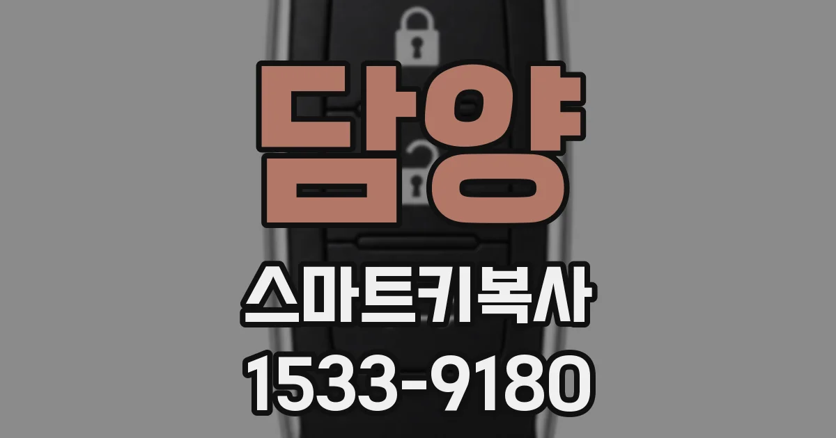 담양 스마트키복사