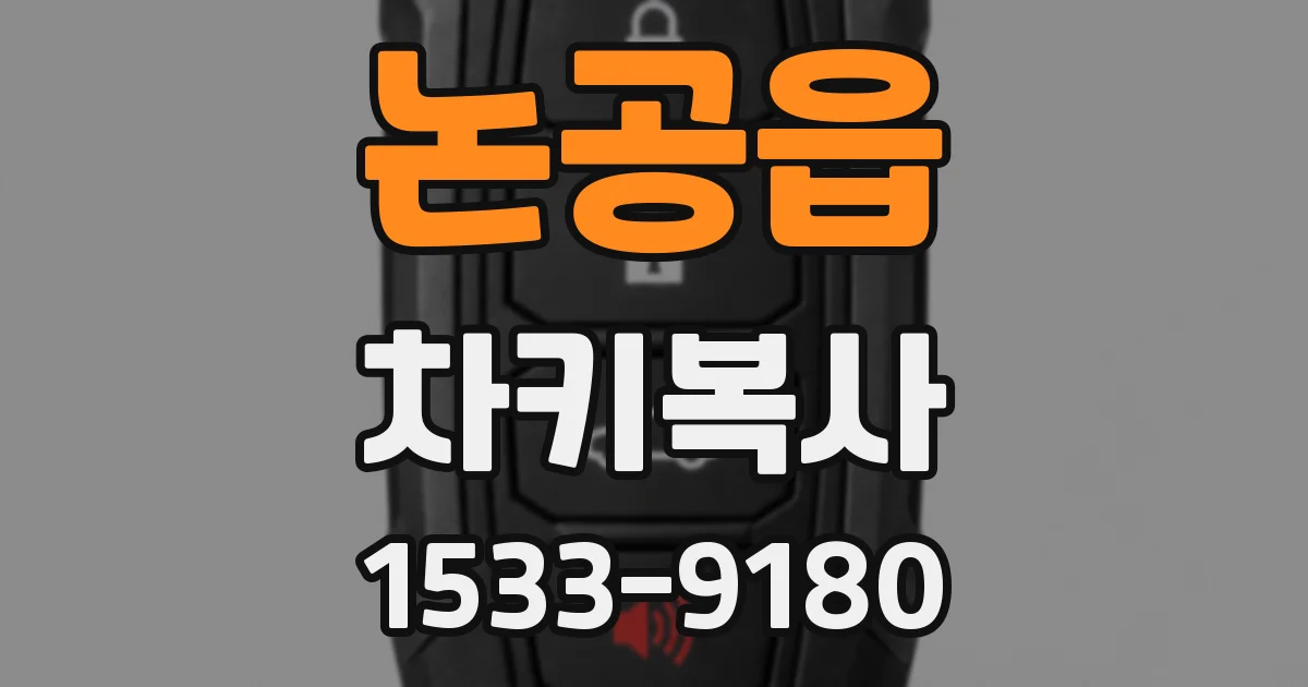 논공읍 차키복사