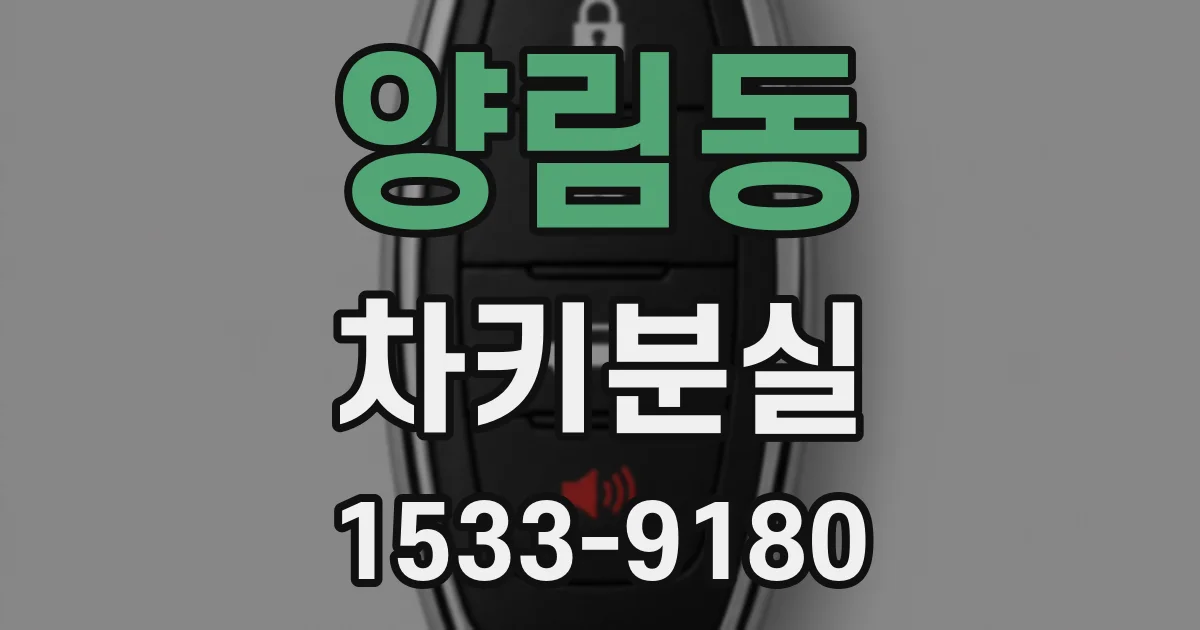 양림동 차키분실
