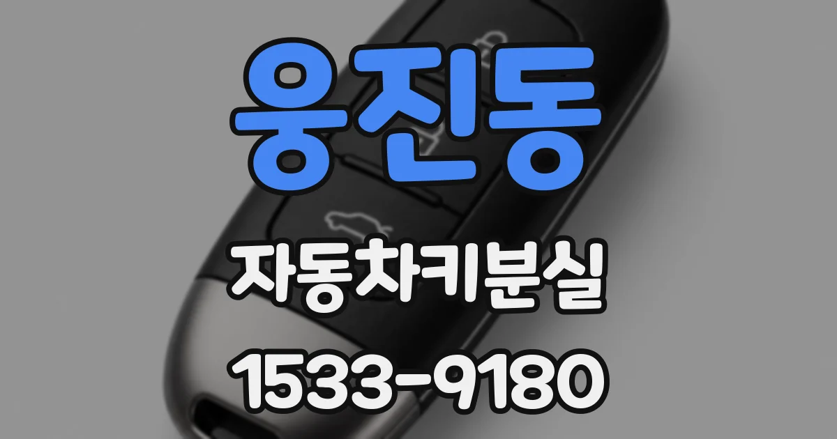 웅진동 자동차키분실