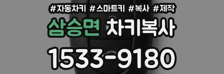 삼승면 차키복사