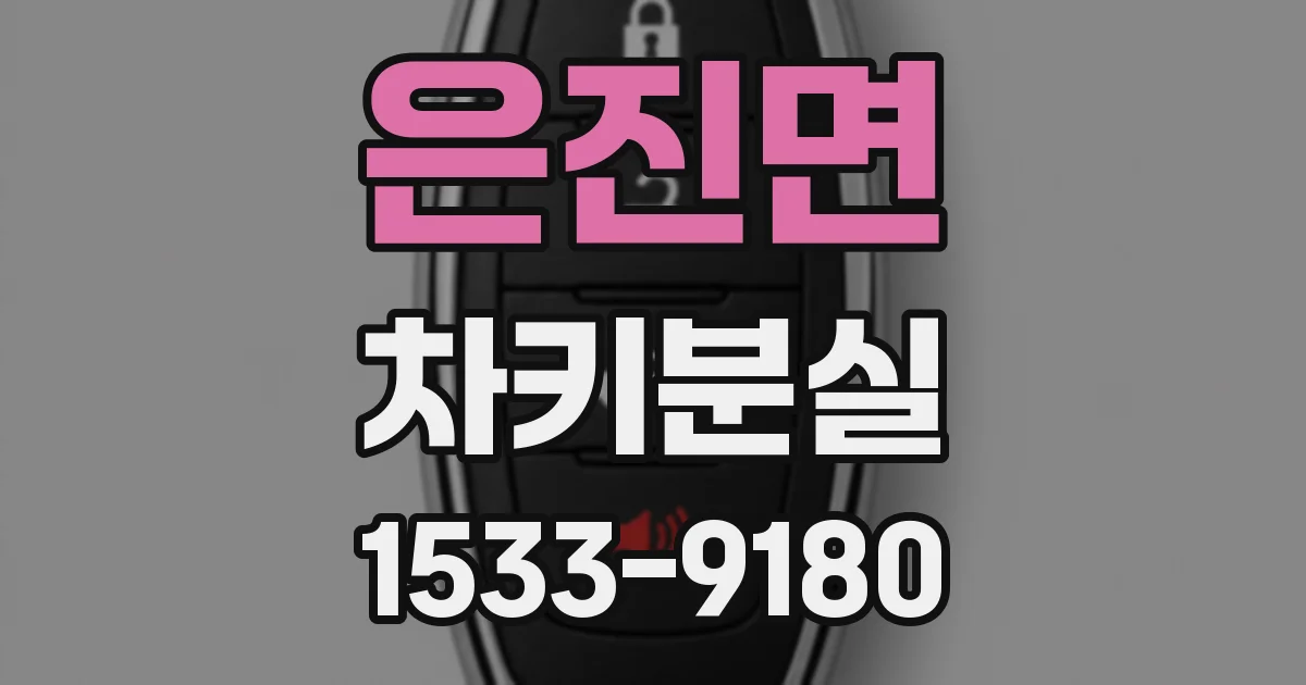 은진면 차키분실