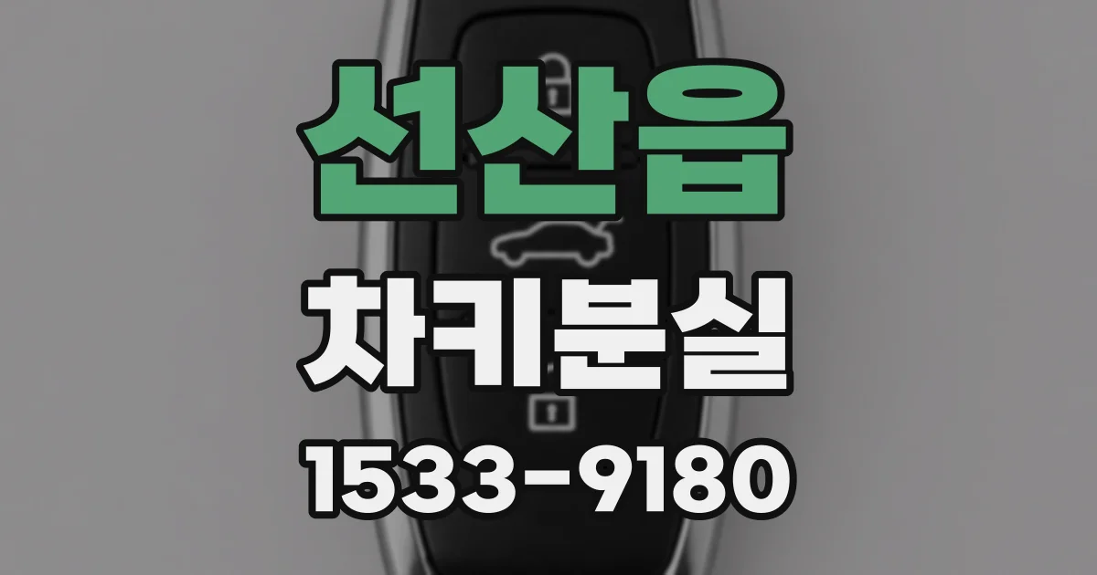 선산읍 차키분실