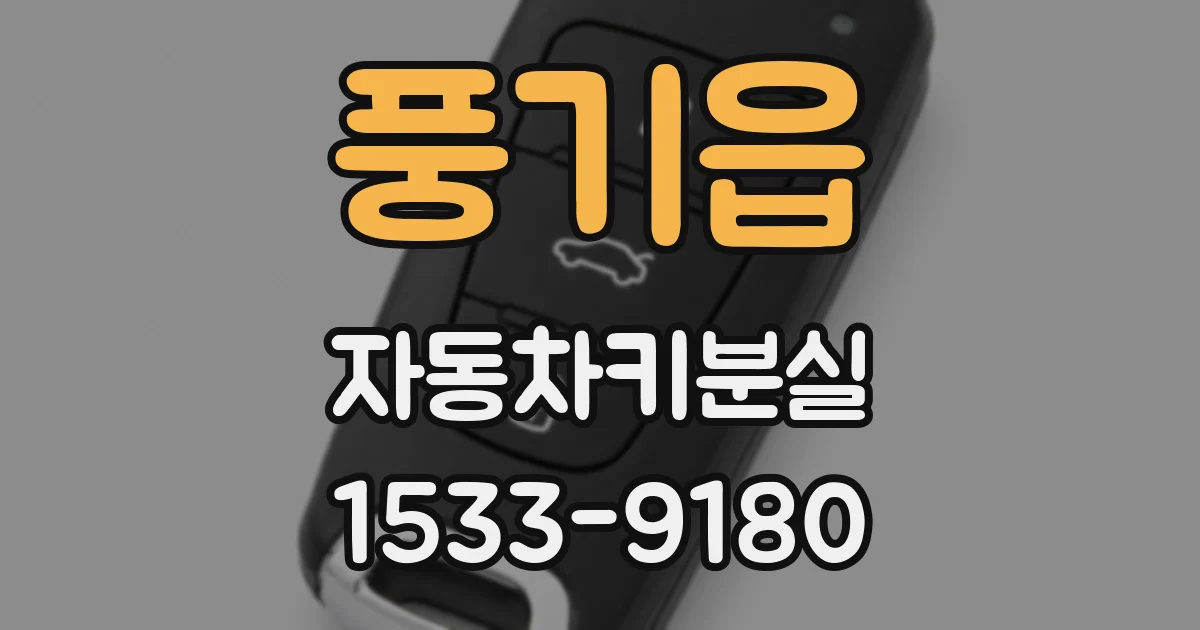 풍기읍 자동차키분실