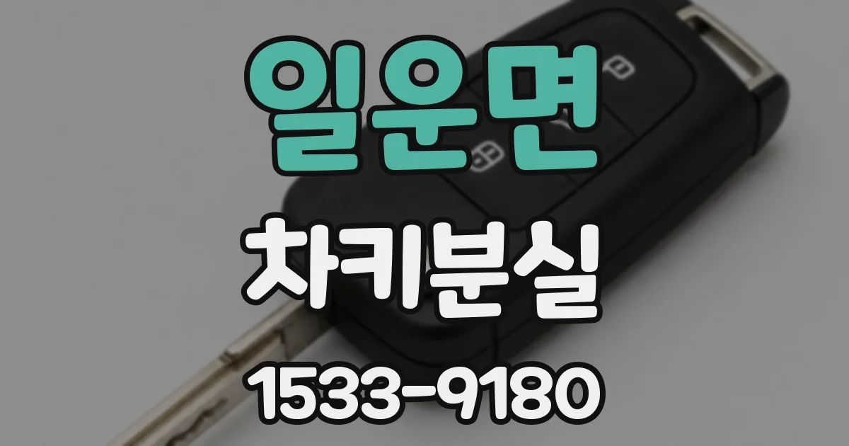일운면 차키분실