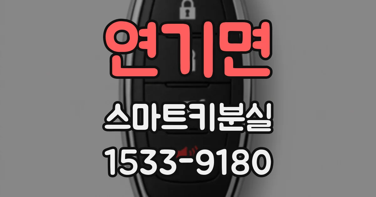 연기면 스마트키분실