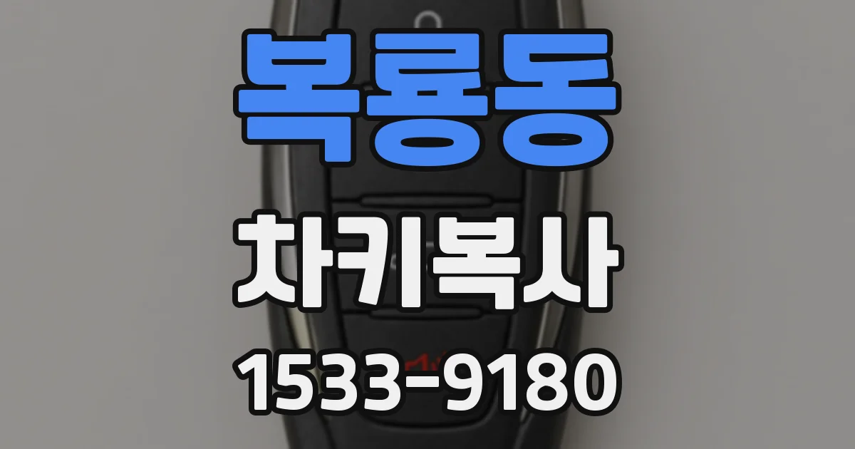 복룡동 차키복사